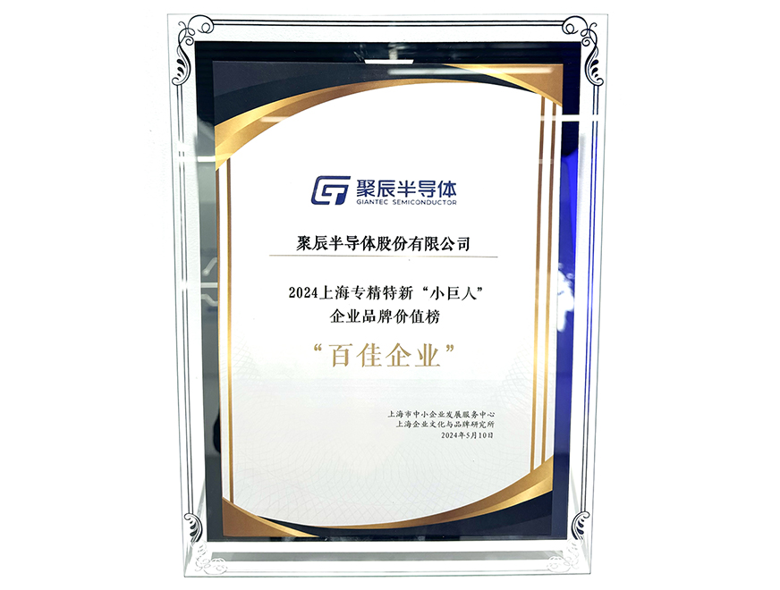  OETY歐億體育半導(dǎo)體入選2024上海專精特新“小巨人”企業(yè)品牌價值榜